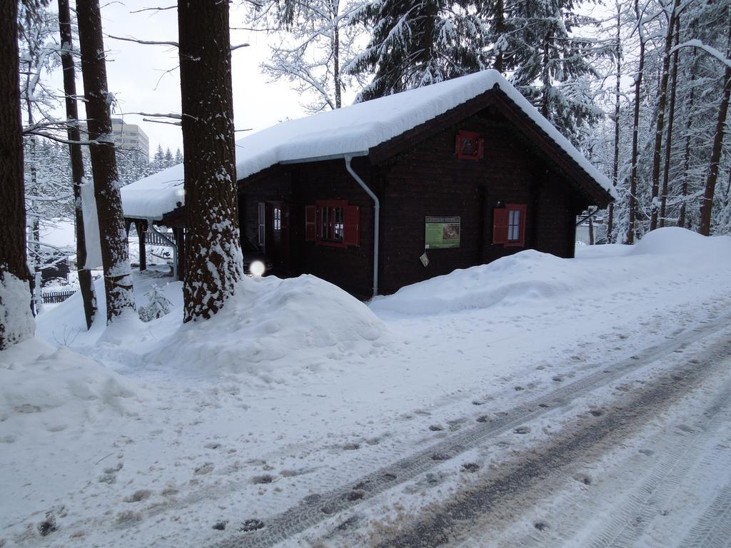 Blockhaus Bodefall Braunlage Cameră foto