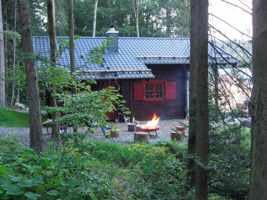 Blockhaus Bodefall Braunlage Cameră foto